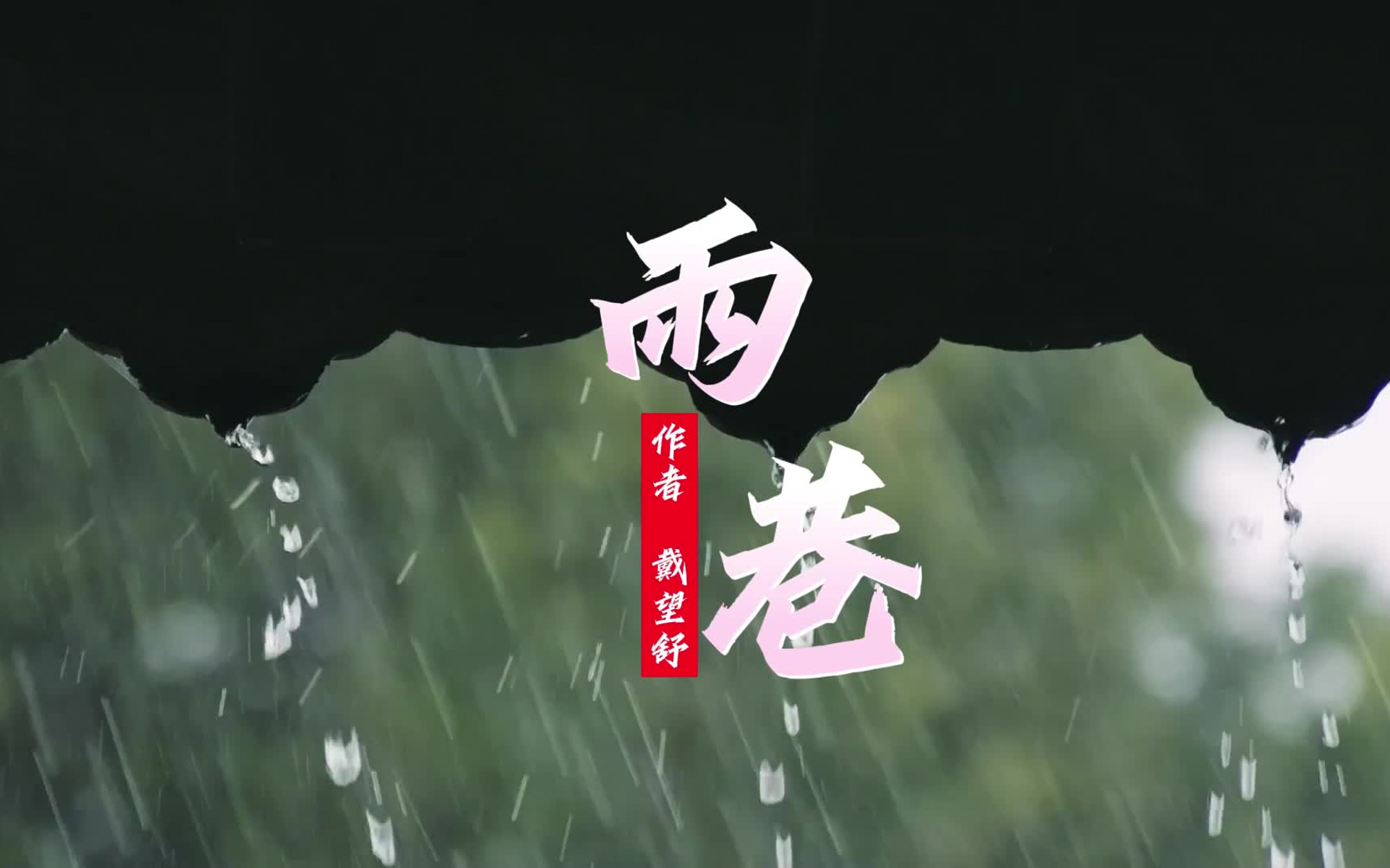 风吹雨科技